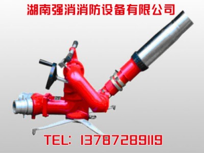 供应湖南移动式泡沫-水两用炮PLY24图1