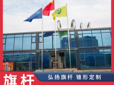 淮南法院旗杆_电动旗杆厂家图3
