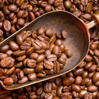 上海进口咖啡豆清关需要的过程