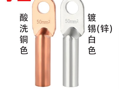 DT1234560平方镀锡铜鼻子管式线鼻子塘锡铜端子图3