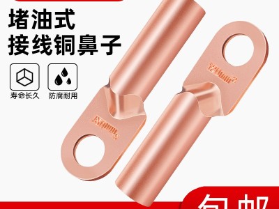 DT1234560平方镀锡铜鼻子管式线鼻子塘锡铜端子图2