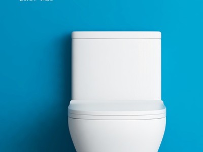 爱尚卫浴普通坐便器AS-W6021图2