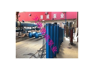 高扬程75KW卧式潜水泵（天津潜成）厂家使用寿命长图3