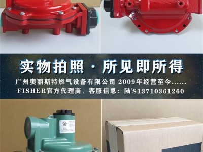 美国FISHER R622H-DGJ红色一级减压阀图3