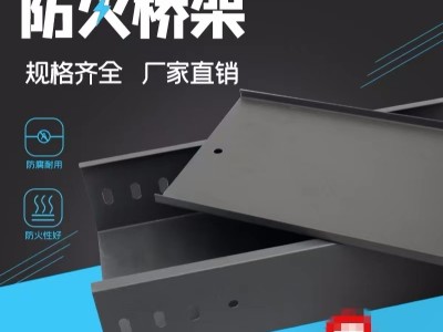 江西江鼎厂家直销喷涂防火槽式桥架200*100图2
