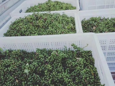 供应贵阳花椒筐 果蔬筐 塑料筐 运输周转筐图5