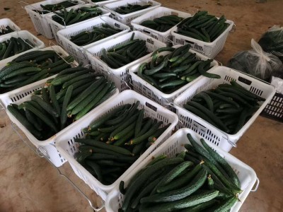 供应贵阳菜筐 果蔬筐 塑料周转筐 可加铁把手图4