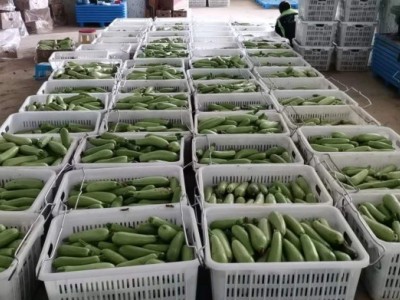 供应贵阳菜筐 果蔬筐 塑料周转筐 可加铁把手图5
