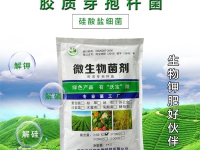 胶质芽孢杆菌胶冻样芽孢杆菌硅酸盐细菌活孢子原菌粉有机拌种蘸根图3