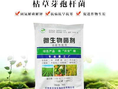 枯草芽孢杆菌固氮解磷解钾防烂根青枯病改良土壤图3