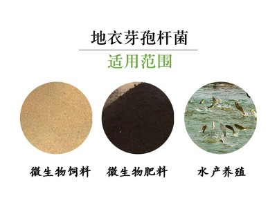 地衣芽孢杆菌养殖饲料添加生物净水益生菌改善养殖畜禽肠道促生长图2