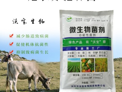 地衣芽孢杆菌养殖饲料添加生物净水益生菌改善养殖畜禽肠道促生长图3