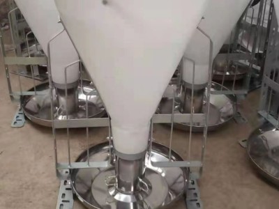 供应猪用不锈钢干湿喂料器养殖场设备量大从优图6