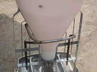 供应猪用不锈钢干湿喂料器养殖场设备量大从优图4