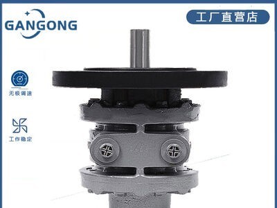 天津8AM-FRV-2B叶片式气动马达图2