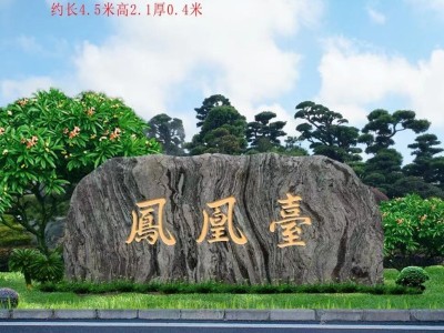 浙江园林景观石厂家园林大型景观石图3