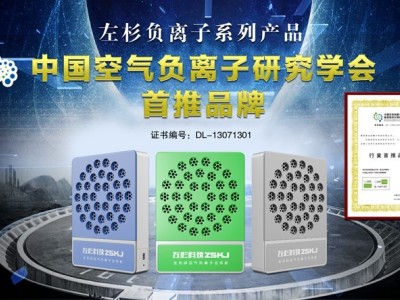 左杉 负离子发生器家用负氧离子机空气净化器图2