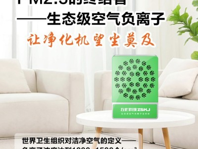 左杉 负离子发生器家用负氧离子机空气净化器图5