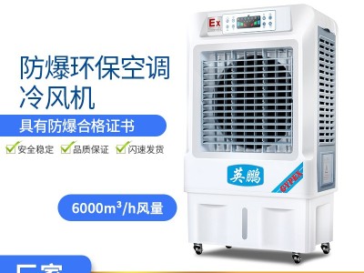 广东省中山英鹏防爆环保空调-冷风机YPHB-6EX图3