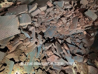 君工机械隔膜压滤机-鸭血固液分离效果-压滤机厂家图2
