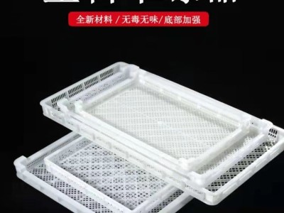 日照宝利塑业塑料单冻盘图3