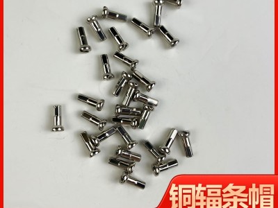 14G12MM铜帽不生锈银色自行车铜条帽图5