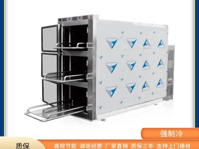 太平柜厂家直销 尸体防腐电脑温控图3