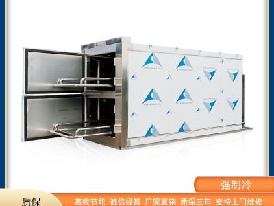 太平柜厂家直销 尸体防腐电脑温控图2