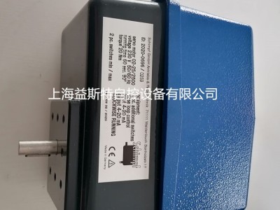 Schimpf风门执行器02-25/2500燃烧器伺服电机图2