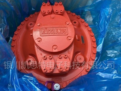 赫格隆 马达 CB-0280-0280-SA0N00图3