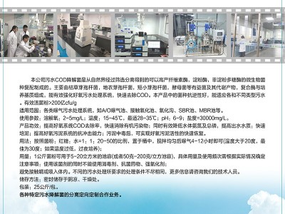 污水COD降解菌图2