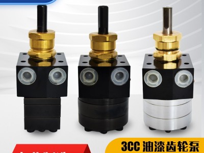 油漆齿轮泵图3