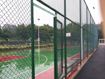 建筑网片 钢筋网片 护栏网 道路桥梁防护用网 建筑防护用网图6
