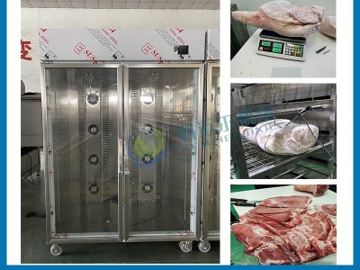 小型款式低温解冻机设备火锅店使用图3