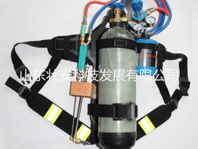 便携式汽油金属切割器QGB-30图2