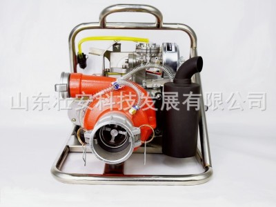 厂家直销WICK-250A型轻便型背负式森林消防泵