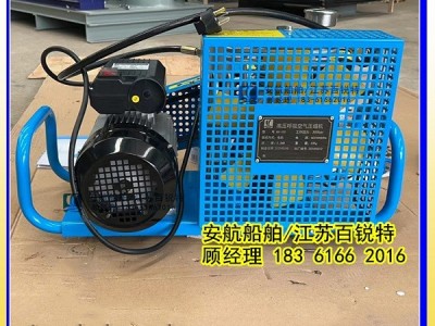 消防正压式呼吸器空气充气泵AH-100图2