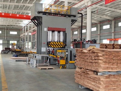 利用速生杨木皮压制高端方木重组木设备 是速生林提升品质项目