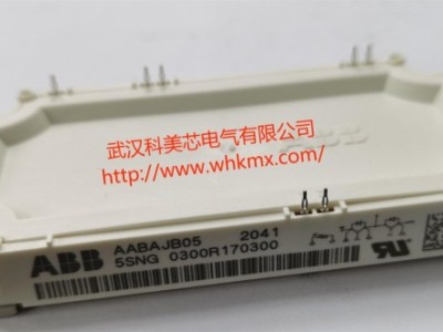 日立能源ABB IGBT模块5SNG 0300R170300图2