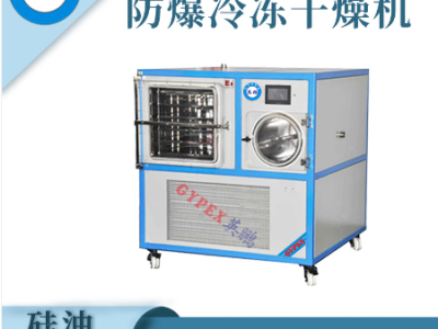 南京工业防爆风冷式冻干机