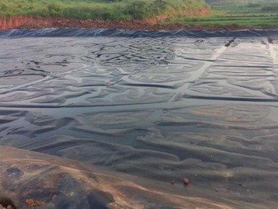 甘肃垃圾填埋场覆盖防渗猪场沼气池氧化塘项目施工用土工膜图4